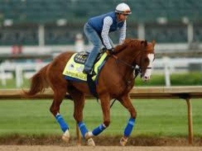 Authentic Named Horse of the Year to Headline 2020 Eclipse A ... Image 2